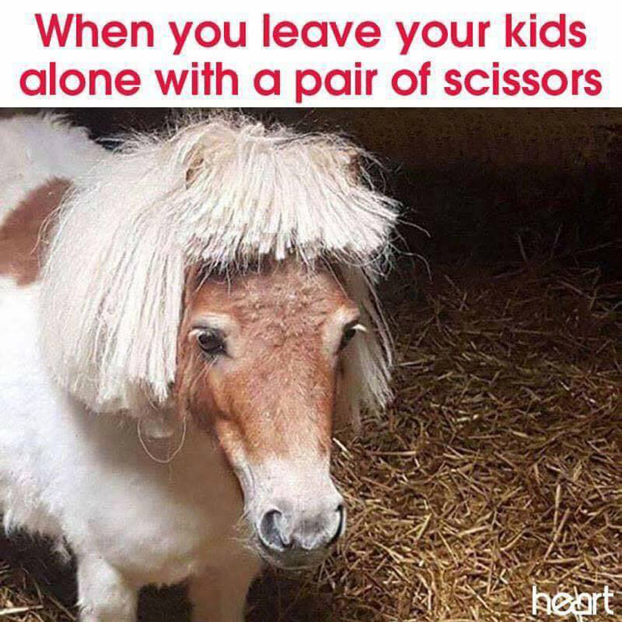 When you leave your kids alone with a pair of scissors